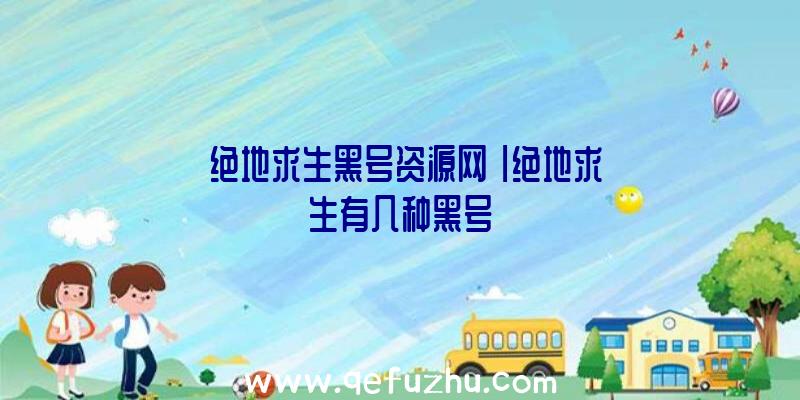 「绝地求生黑号资源网」|绝地求生有几种黑号